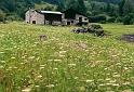 Valtellina (16)